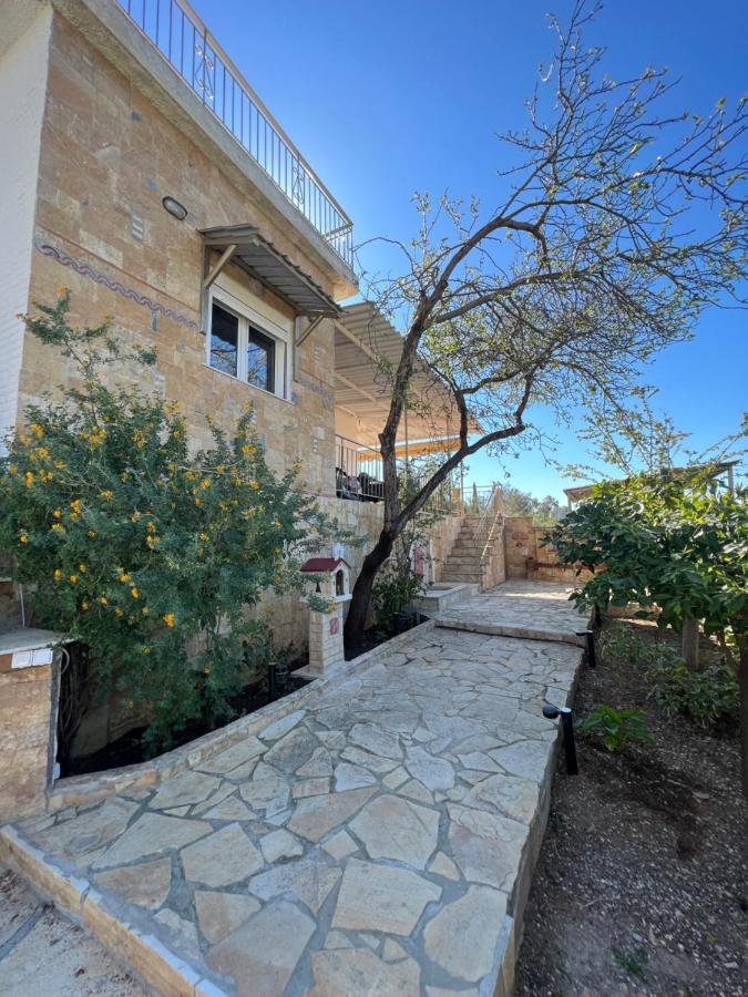 Theodore Resort Agios Georgios  外观 照片